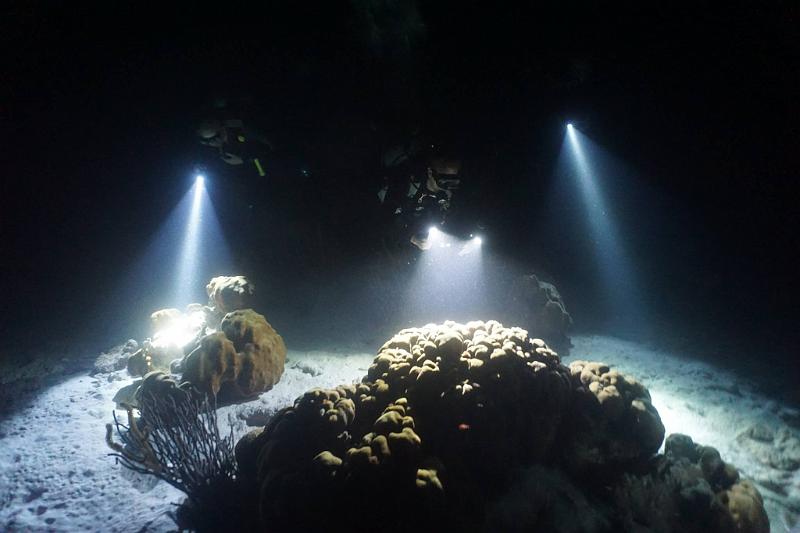 Bonaire 2018 8.jpg